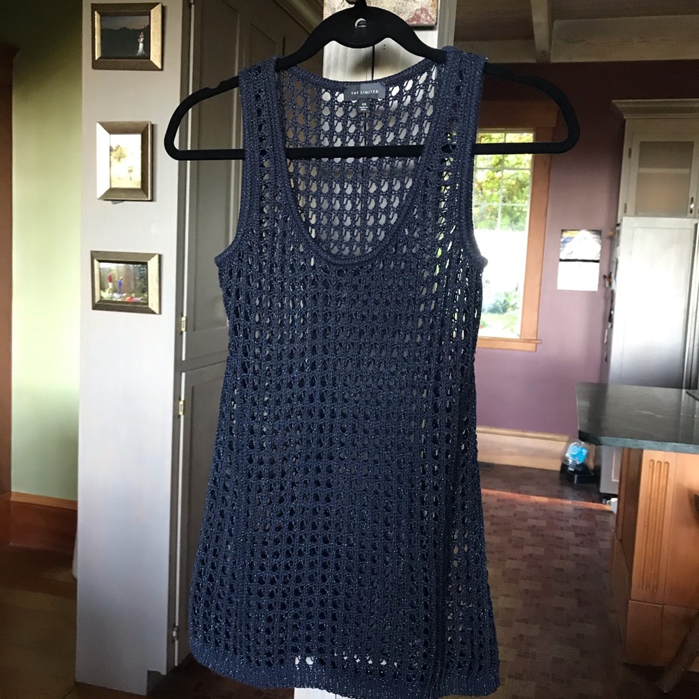 The Limited Crocheted Sweater Vest
